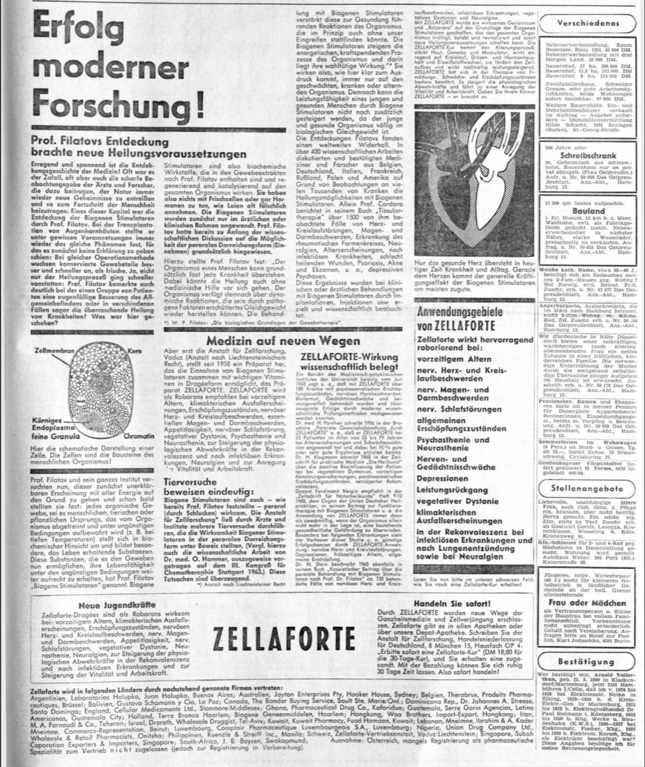 Zeitungsartikel über Zellaforte, 1965